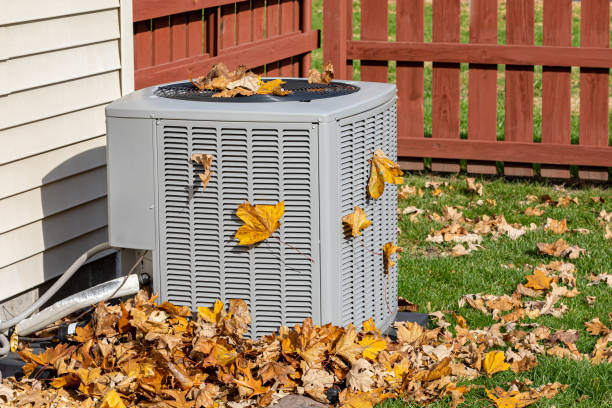 Best Thermostats and Smart Controls in Roxana, IL